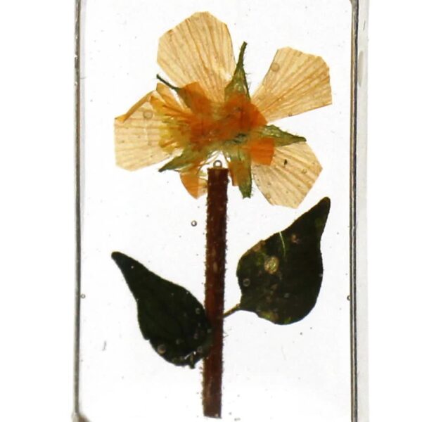 Pressed Yellow Flower Rectangle Dangle Earrings - Image 2